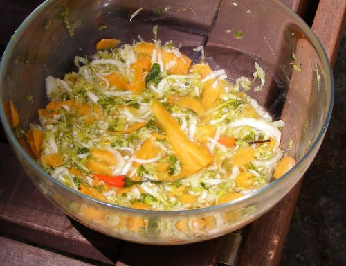 Home-made Sauerkraut